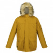 Чоловіча куртка Regatta Salinger II жовтий