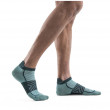 Чоловічі шкарпетки Icebreaker Men Merino Run+ Ultralight Micro