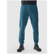 Чоловічі спортивні штани 4F Trousers Fnk M682