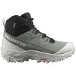 Жіночі черевики Salomon Crosstrak Waterproof зелений Agave Green / Black / Canary Green