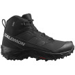 Чоловічі черевики Salomon Crosstrak Waterproof