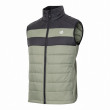 Чоловіча жилетка Dare 2b Touring II Gilet