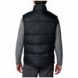 Чоловіча жилетка Columbia Pike Lake™ II Vest