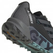 Жіночі черевики Adidas Terrex Agravic Flow 2 GTX W
