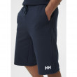 Чоловічі шорти Helly Hansen Active Shorts 12''