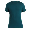 Чоловіча функціональна футболка Icebreaker Men Merino 150 Ace SS Tee зелений/синій Fathom Green