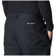 Чоловічі гірськолижні штани Columbia Bugaboo™ IV Pant