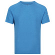 Чоловіча футболка Regatta Ambulo блакитний