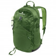 Рюкзак Ferrino Core 30 зелений