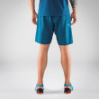 Чоловічі шорти Dynafit Alpine 2 M Shorts