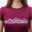 Жіноча функціональна футболка Sensor Coolmax Fresh PT Mountains