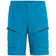 Pánské kraťasy Salewa Puez Dry M Shorts světle modrá blue danube
