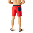 Плавки Regatta Bentham swim short