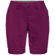 Dámské kraťasy Salewa Puez Dry W Shorts fialová dark purple