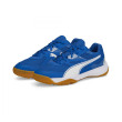 Дитячі черевики Puma Solarflash Jr II синій