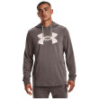 Чоловіча толстовка Under Armour Rival Terry Logo Hoodie