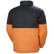 Чоловіча зимова куртка Helly Hansen Active Reversible Jacket