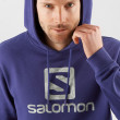 Толстовка Salomon Outlife Logo Pullover Hoodie