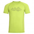 Чоловіча футболка Alpine Pro Revin зелений