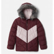Зимова куртка для дівчини Columbia Arctic Blast™ Jkt коричневий