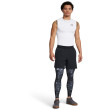 Чоловічі легінси Under Armour HG Armour Prtd Lgs