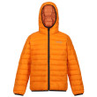 Дитяча зимова куртка Regatta Jnr Hooded Marizion