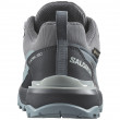 Жіночі черевики Salomon X Ultra 360 Gore-Tex