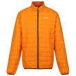 Чоловіча куртка Regatta Hillpack помаранчевий
