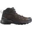 Чоловічі черевики Salomon X Ultra 360 Leather Mid Gore-Tex коричневий Dark Earth / Delicioso / Castlerock