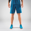 Чоловічі шорти Dynafit Alpine 2 M Shorts