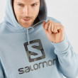 Толстовка Salomon Outlife Logo Pullover Hoodie