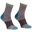 Шкарпетки Ortovox Alpinist Mid Socks світло-сірий