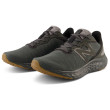 Чоловічі черевики New Balance Fresh Foam Arishi v4 чорний