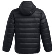 Чоловіча куртка Under Armour Legend Down Hooded Jacket