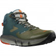 Чоловічі черевики Salomon Predict Hike Mid Gore-Tex синій/зелений