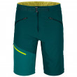 Чоловічі шорти Ortovox Brenta Shorts зелений