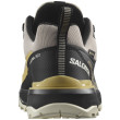 Чоловічі туристичні черевики Salomon X Ultra 360 GTX