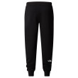 Чоловічі спортивні штани The North Face M Drew Peak Pant