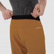 Чоловічі штани з софтшелу Salewa SELLA DST M LIGHT PANTS