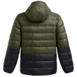 Чоловіча куртка Under Armour Legend Down Hooded Jacket