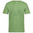 Чоловіча футболка Regatta Breezed IV зелений