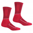Жіночі шкарпетки Regatta LdySamaris2Season червоний