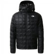 Чоловіча зимова куртка The North Face M Thermoball Eco Hoodie 2.0 чорний