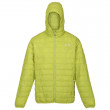 Чоловіча зимова куртка Regatta Hooded Hillpack темно-зелений