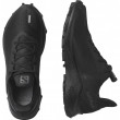 Жіночі черевики Salomon Alphacross 3 Gore-Tex W