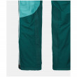 Жіночі штани Ortovox W's Westalpen 3L Pants