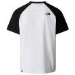 Чоловіча футболка The North Face M S/S Raglan Easy Tee