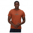 Чоловіча футболка Regatta Cline VI помаранчевий