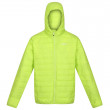 Чоловіча зимова куртка Regatta Hooded Hillpack зелений