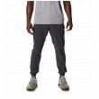 Чоловічі бігові штани Columbia Maxtrail Lightweight Woven Jogger сірий